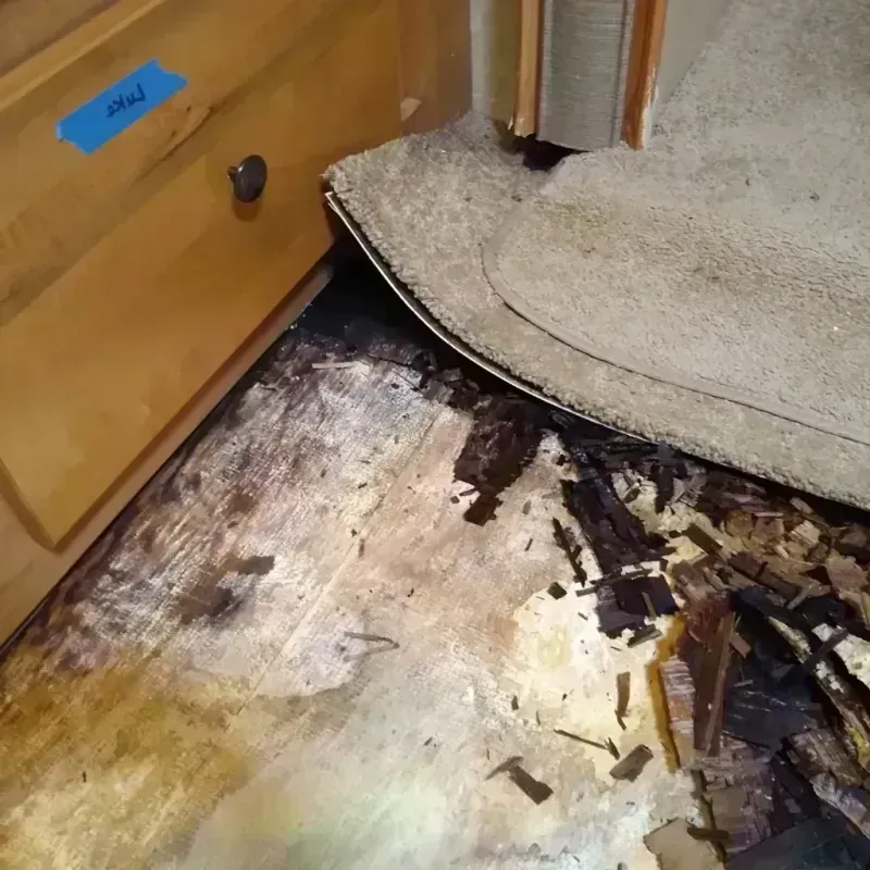 Wood Floor Water Damage in Theresa, WI